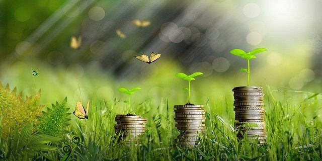 ESG and social value – two sides of the same coin? ESG and social value – two sides of the same coin?